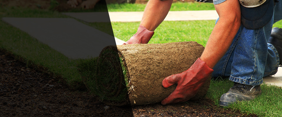 Truth Or Consequences Landscapers